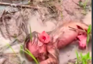 First Bathing For Poor Newborn Baby Monkey In New Home
